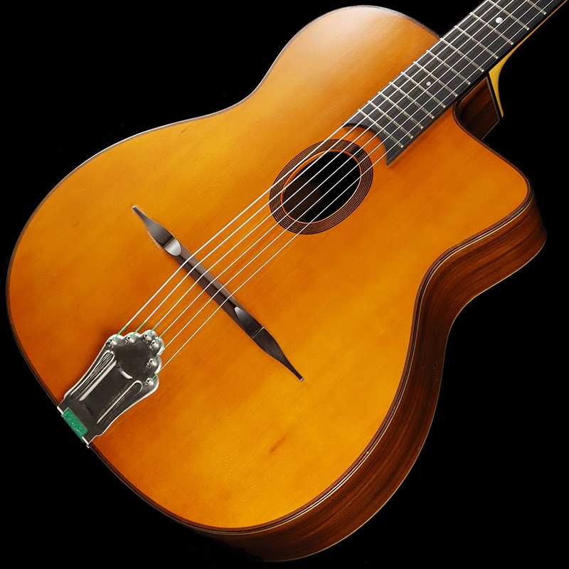 unknown Stringphonic Advanced FV Modelの画像
